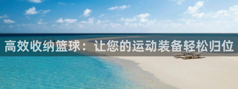 fb体育平台注册流程图:高效收纳篮球:让您的运动装备轻松归位