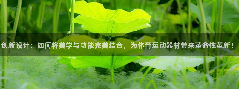 fb体育集团简介:创新设计:如何将美学与功能完美结合,为体育